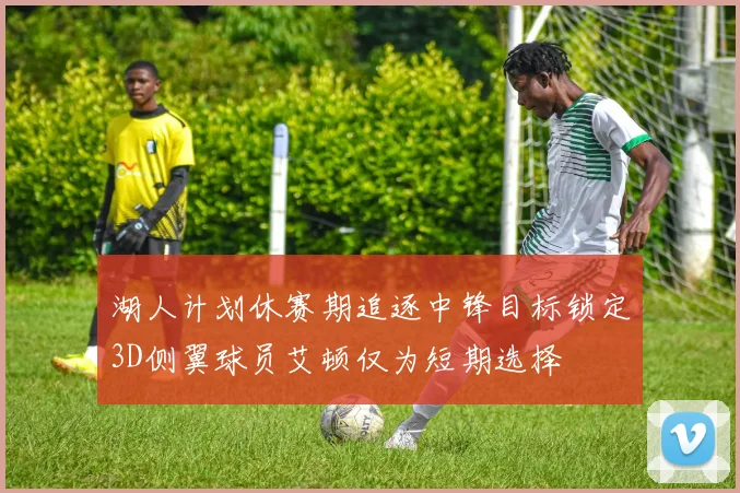 湖人计划休赛期追逐中锋目标锁定3D侧翼球员艾顿仅为短期选择