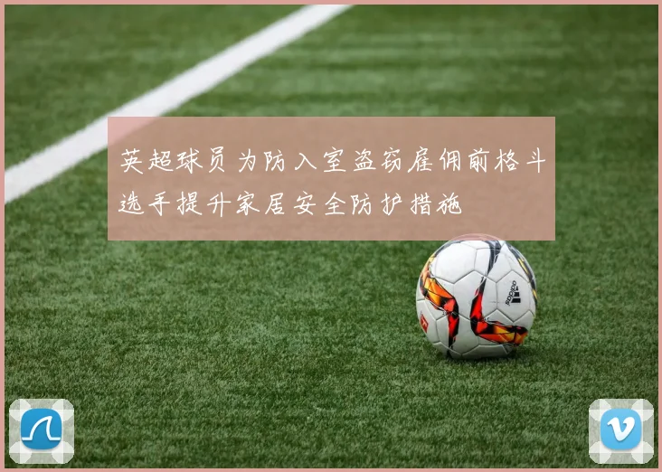 英超球员为防入室盗窃雇佣前格斗选手提升家居安全防护措施