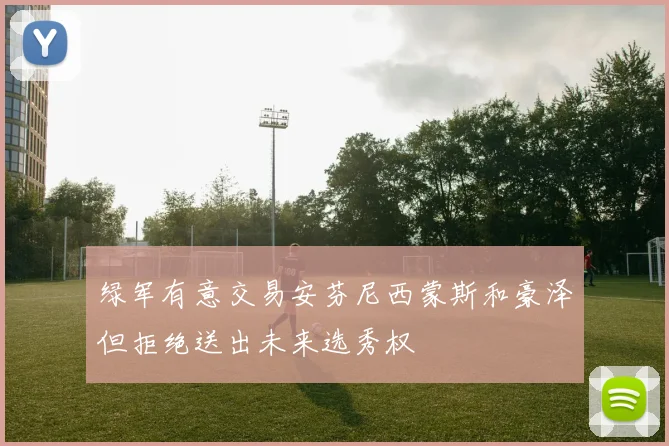 绿军有意交易安芬尼西蒙斯和豪泽但拒绝送出未来选秀权