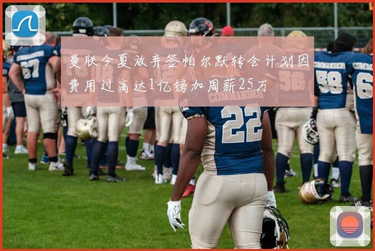 曼联今夏放弃签帕尔默转会计划因费用过高达1亿镑加周薪25万